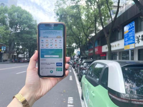 宁波停车大管家 全城通停，累计服务超4亿次